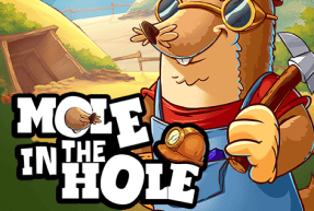 Mole in the hole thumbnail